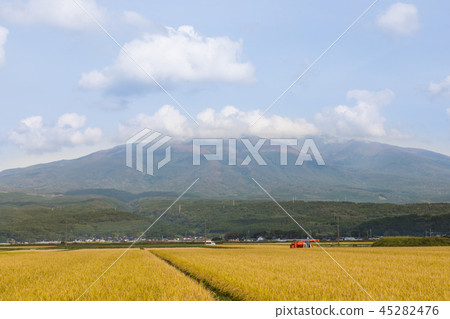 Mt Chokai And Riceho Stock Photo