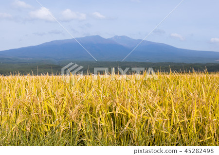 Mt Chokai And Riceho Stock Photo