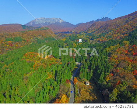 Road to autumn Oyama Road to autumn Oyama 45282781