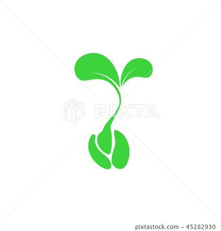 tree sprout from seeds 45282930