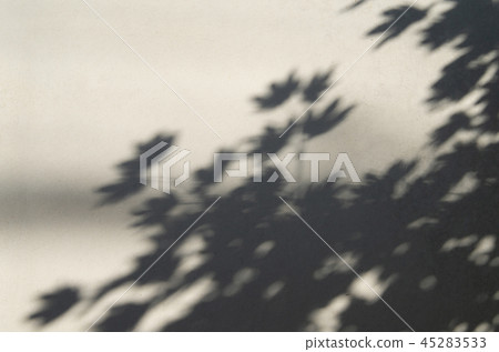 Maple shadow falling on the plastered wall Silhouette part many a-1 milky white Maple shadow falling on the plastered wall Silhouette part many a-1 milky white 45283533