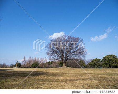 Shonai's Green Park 45283682