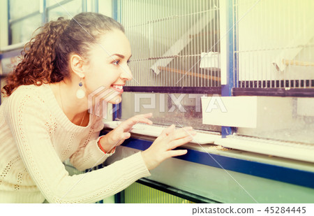Girl watching singing birds in petshop. Girl watching singing birds in petshop. 45284445