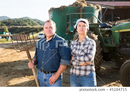 adult farmers are standing near car at the cowfarm adult farmers are standing near car at the cowfarm 45284715