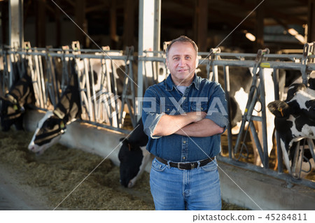 Smiling mature male farmer in cowshed Smiling mature male farmer in cowshed 45284811