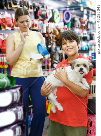 Small boy with havanese pup while family shopping with mother 45285045