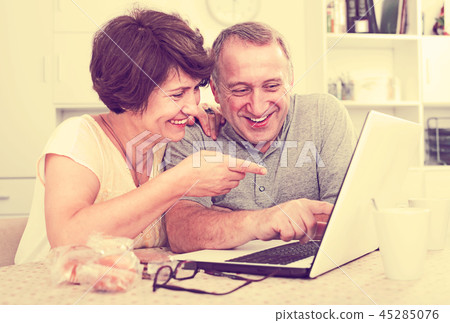 Senior couple with laptop 45285076