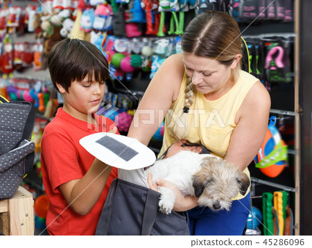 Joyful boy with mother choosing bag dog carrier Joyful boy with mother choosing bag dog carrier 45286096