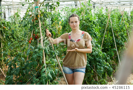 Woman working in glasshousw Woman working in glasshousw 45286115