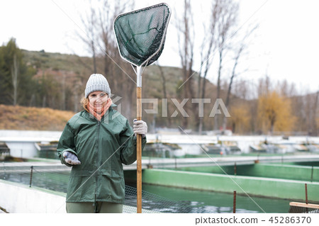 Woman with landing net on fish farm Woman with landing net on fish farm 45286370