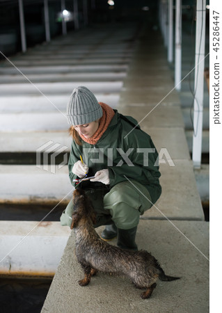 Woman with notebook inspecting fish tanks on farm Woman with notebook inspecting fish tanks on farm 45286447
