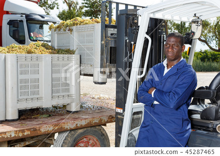 African American man worker using forklift for unload boxes with grapes African American man worker using forklift for unload boxes with grapes 45287465