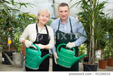 Two gardener are taking care of flowers and watered it 45288028