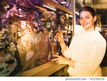 Girl shows an aquarium with sea tropical fish Girl shows an aquarium with sea tropical fish 45288839