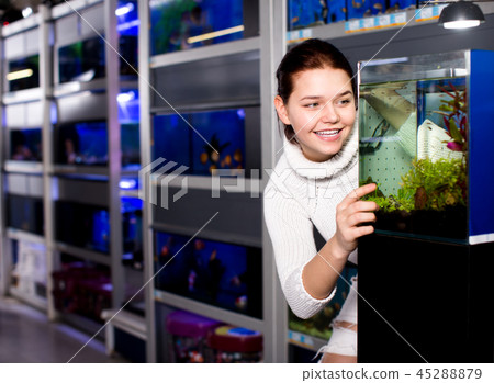 Girl looking at young fishes in aquarium Girl looking at young fishes in aquarium 45288879