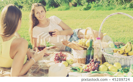 Two woman on picnic 45289724