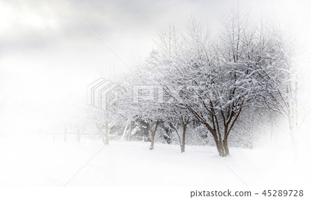 Winter alley beautiful 45289728