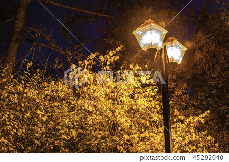 Autumn leaves in the bright light of a street lamp Autumn leaves in the bright light of a street lamp 45292040
