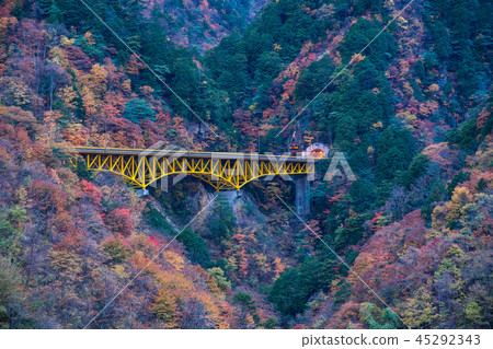 (埼玉縣)Oshisaka(Karisaka)Ohashi Osaka隧道 (埼玉縣)Oshisaka(Karisaka)Ohashi Osaka隧道 45292343