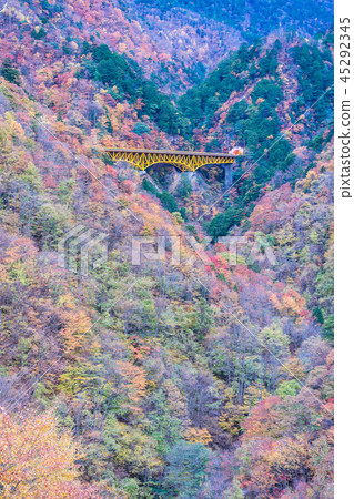 (埼玉縣)Oshisaka(Karisaka)Ohashi Osaka隧道 (埼玉縣)Oshisaka(Karisaka)Ohashi Osaka隧道 45292345
