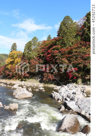 Kaarashii秋葉5 45292713