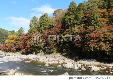 Kaarashii秋葉4 45292714