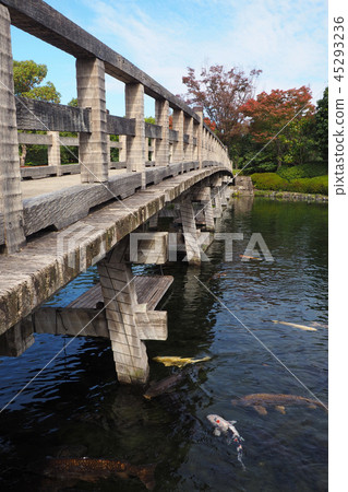 天鵝花園 天鵝花園 45293236
