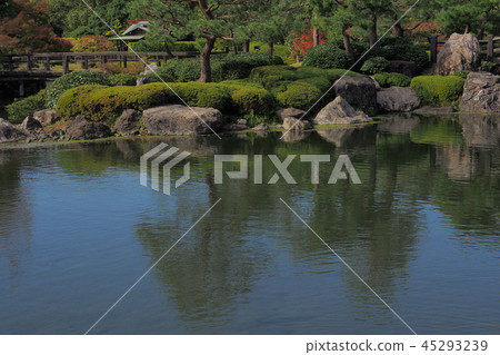 天鵝花園 天鵝花園 45293239