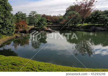 天鵝花園 天鵝花園 45293240