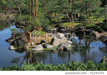 天鵝花園 天鵝花園 45293241