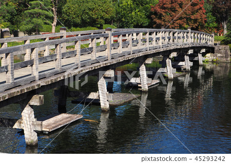 天鵝花園 天鵝花園 45293242