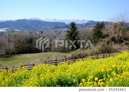 Rape blossoms and Kitatanzawa 45293461