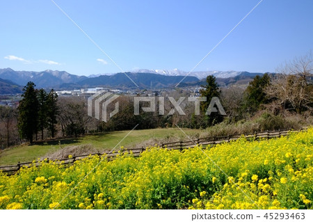 Rape blossoms and Kitatanzawa Rape blossoms and Kitatanzawa 45293463