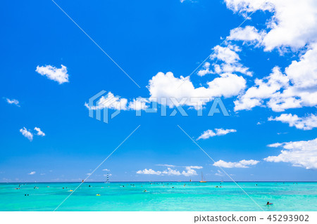 “夏威夷”威基基海灘檀香山 “夏威夷”威基基海灘檀香山 45293902