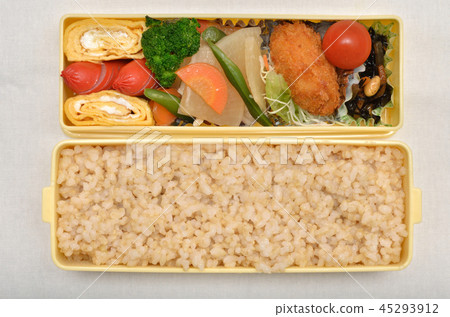 Delicious Bento 45293912