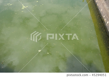 金魚的水產養殖 金魚的水產養殖 45294051