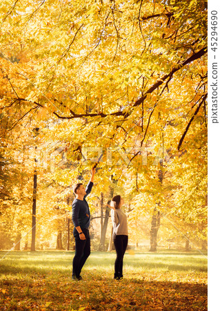 dance under the autumn fall dance under the autumn fall 45294690