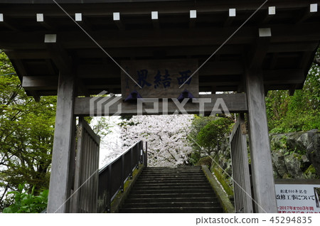 共犯診所 共犯診所 45294835