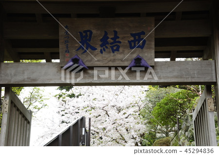 共犯診所 共犯診所 45294836