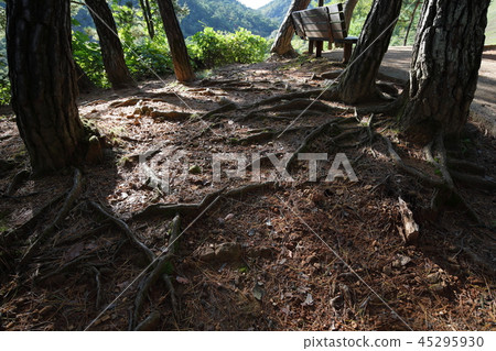 Gangwon-do, Yeongwol-gun, 45295930