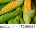 Ripe Corn on a Market 45296094