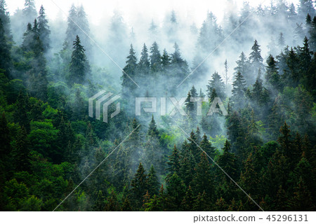 Misty mountain landscape Misty mountain landscape 45296131