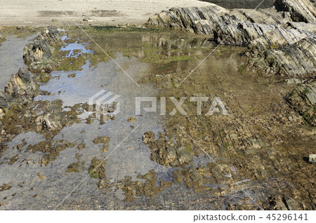 荒崎 荒崎 45296141