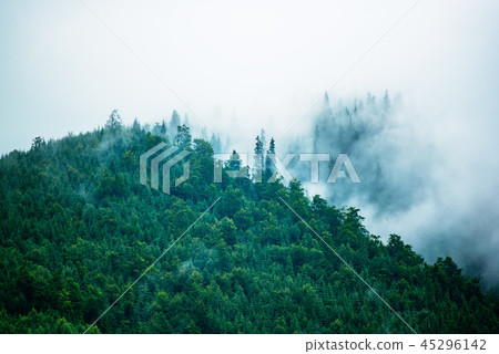 Misty mountain landscape Misty mountain landscape 45296142