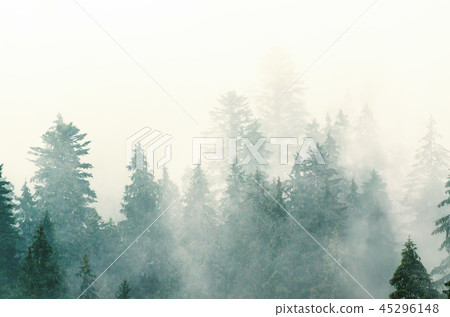 Misty mountain landscape 45296148