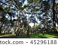 Gangwon-do, Yeongwol-gun, 45296188
