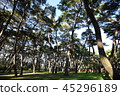 Gangwon-do, Yeongwol-gun, 45296189