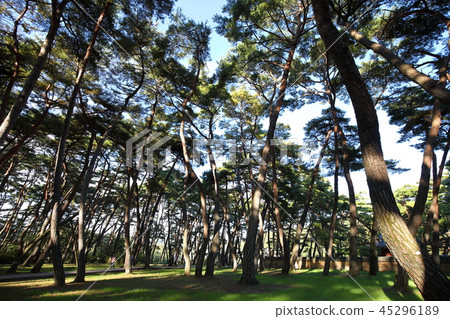 Gangwon-do, Yeongwol-gun, Gangwon-do, Yeongwol-gun, 45296189
