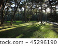 Gangwon-do, Yeongwol-gun, 45296190