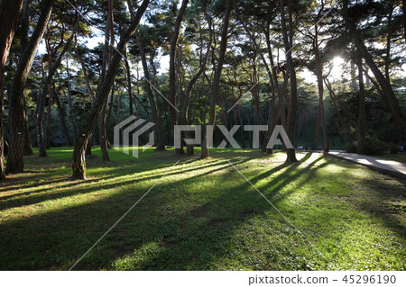 Gangwon-do, Yeongwol-gun, Gangwon-do, Yeongwol-gun, 45296190